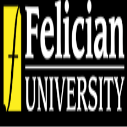 Felician University International undergraduate financial aid in the USA